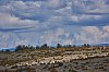 Cevennes_2017_JSN_4454.jpg