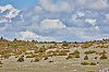 Cevennes_2017_JSN_4460.jpg