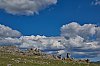 Cevennes_2017_JSN_4476.jpg