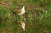 Cevennes_2017_JSN_4550.jpg