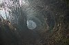 CondeSurVire2016-800pxJSN_4177.jpg