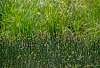D5J_0455_800px.jpg