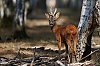 E_Septembre2018__28c29Jean-MarcJANSEN_J85_2761_800px.jpg