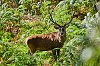 E_Septembre2018__28c29Jean-MarcJANSEN_J85_2792_800px.jpg