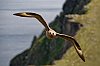 Ecosse_Juin2023_JZ8_0104.jpg