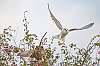 ElanionBlanc_30aout2023_JZ_2674-.jpg
