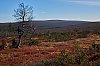FinlandeSeptembre20162800px_JSN_3559.jpg
