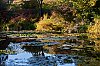 Giverny2016-800px_JSN_3858_1.jpg