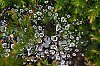GoutteEau800pxJSN_3024.jpg