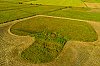 Graignes_MaraisDePeneme_31juillet2020_28c29Jean-MarcJANSEN_DJI_0095_800px.jpg