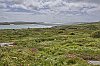 Irlande2015Connemara800px_JSN1468.jpg