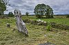 Irlande2015Connemara800px_JSN1692.jpg