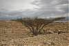 IsraelMars2014-2560-0519.jpg