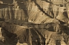 IsraelMars2014-800-0527.jpg