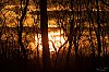 J5C_3168_800px.jpg