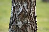 J85_4048_800px~0.jpg