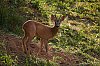 J85_5824_800px_800.jpg