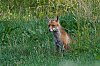 J85_5843_800px.jpg