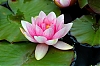 JMJ_1181.jpg
