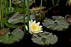 JMJ_1186.jpg