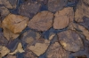 JMJ_12691.jpg