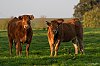 JSN_5545_800px~0.jpg