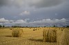 JuayeMondaye800_B0000248.jpg