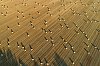 JuayeMondaye_Aout2018__28c29Jean-MarcJANSEN_DJI_0020800_1.jpg