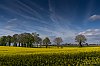 Lingevres24Avril201828c29Jean-MarcJANSEN_B0000772-6.jpg