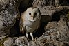 MaraisPoitevin_Mai2022_JZ9_1497_800px.jpg