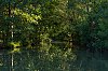 MaraisPoitevin_juillet2020_28c29Jean-MarcJANSEN_B0000673_800px.jpg