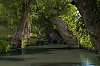 MaraisPoitevin_juillet2020_28c29Jean-MarcJANSEN_B0000800_800px.jpg