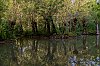 MaraisPoitevin_juillet2020_28c29Jean-MarcJANSEN_B0000810_800px.jpg
