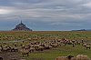 MontSaintMichel_mars2023_B0002898_860px.jpg