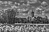 N_BN_BTiff_JSN2583_tonemappe.jpg