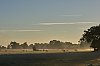 Nature_JSN1881.jpg