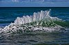 OmahaBeach_28Janvier2020_28c29Jean-MarcJANSEN_B0000435_800px.jpg