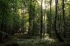 Paysage-4.jpg