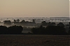 PaysageNormand-032.jpg