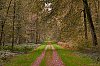 PaysageNormand_800px80JSN_552228c29Jean-Marc_JANSEN.jpg
