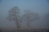 PaysagesNormands_janvier2022_JZ7_4066_1620px-2.jpg