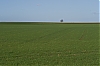 PlaineDeCaen-0.jpg