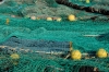 PortEnBessin-45r.jpg