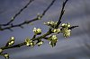 Printemps2017_B0000015.jpg