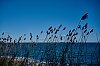 RandoRadeCherbourgJanvier2019__28c29Jean-MarcJANSEN_JZ7_2078_1600px.jpg