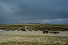 SaintVaaastLaHougue28c29Jean-MarcJANSEN__JZ79868_800px.jpg