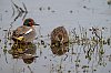 SarcellesHiver__14mars2024_JZ_5750_860.jpg