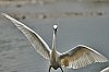 Sefosses_mai2018_28c29Jean-MarcJANSEN_J85_1816800px.jpg
