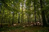 Septembre2019Cerisy28c29Jean-MarcJANSEN_B0003361_1620px.jpg