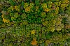 SuisseNormande_30ctobre2024_DJI_0744~0.jpg